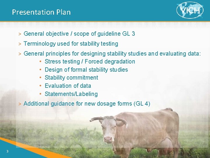 Presentation Plan > General objective / scope of guideline GL 3 > Terminology used