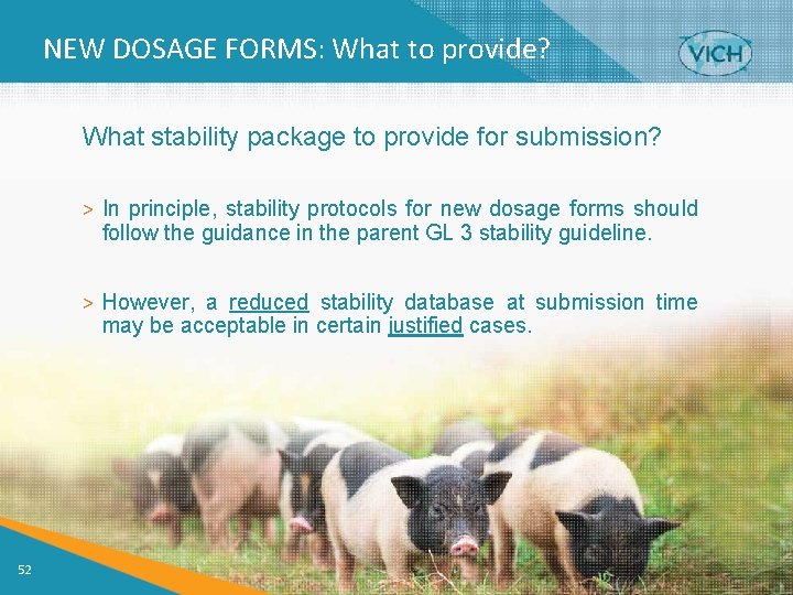 NEW DOSAGE FORMS: What to provide? What stability package to provide for submission? >