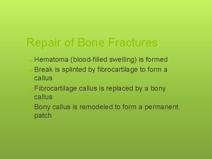 Repair of Bone Fractures Hematoma (blood-filled swelling) is formed Break is splinted by fibrocartilage