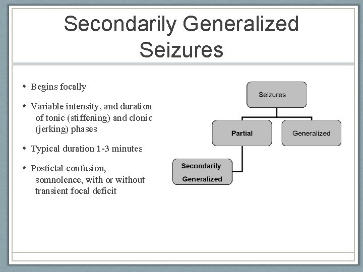 Secondarily Generalized Seizures Begins focally Variable intensity, and duration of tonic (stiffening) and clonic