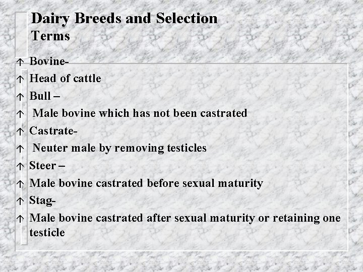 Dairy Breeds and Selection Terms á á á á á Bovine. Head of cattle