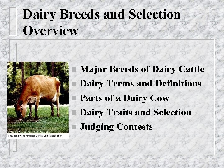 Dairy Breeds and Selection Overview Major Breeds of Dairy Cattle n Dairy Terms and
