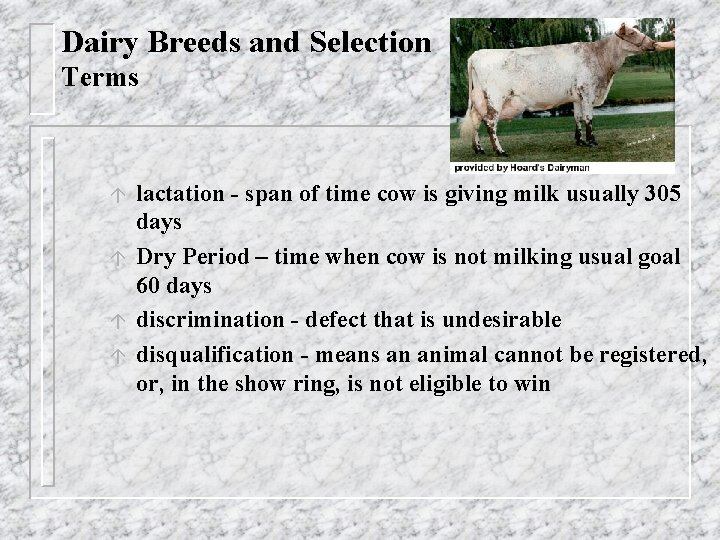Dairy Breeds and Selection Terms á á lactation - span of time cow is