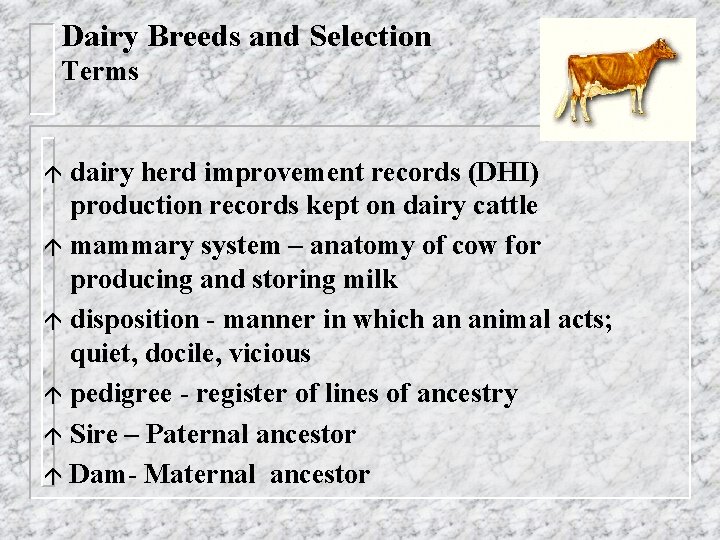 Dairy Breeds and Selection Terms dairy herd improvement records (DHI) production records kept on