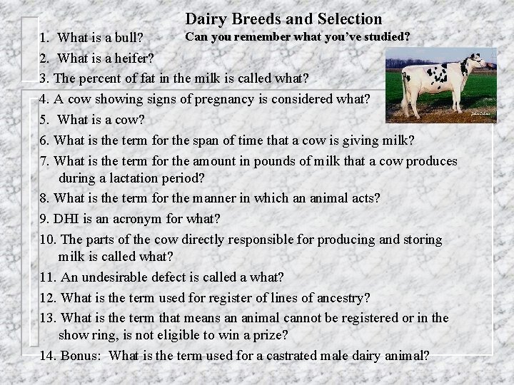 Dairy Breeds and Selection Can you remember what you’ve studied? 1. What is a