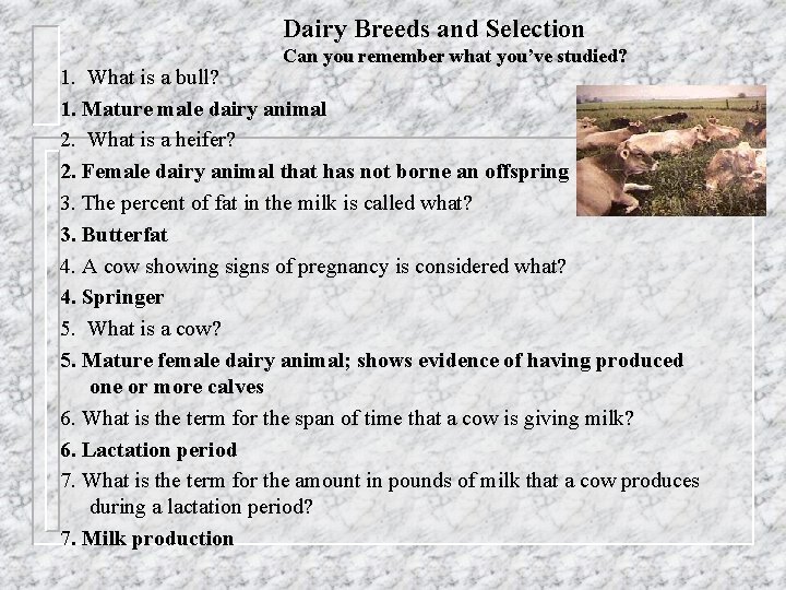 Dairy Breeds and Selection Can you remember what you’ve studied? 1. What is a