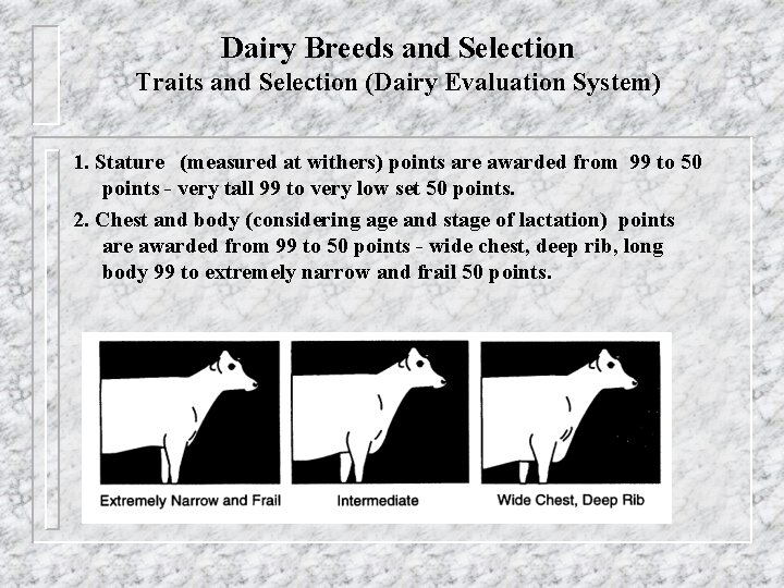Dairy Breeds and Selection Traits and Selection (Dairy Evaluation System) 1. Stature (measured at