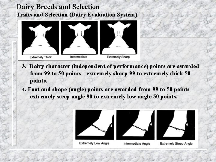 Dairy Breeds and Selection Traits and Selection (Dairy Evaluation System) 3. Dairy character (independent