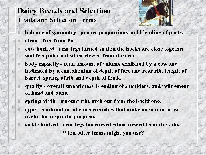 Dairy Breeds and Selection Traits and Selection Terms n n n n balance of