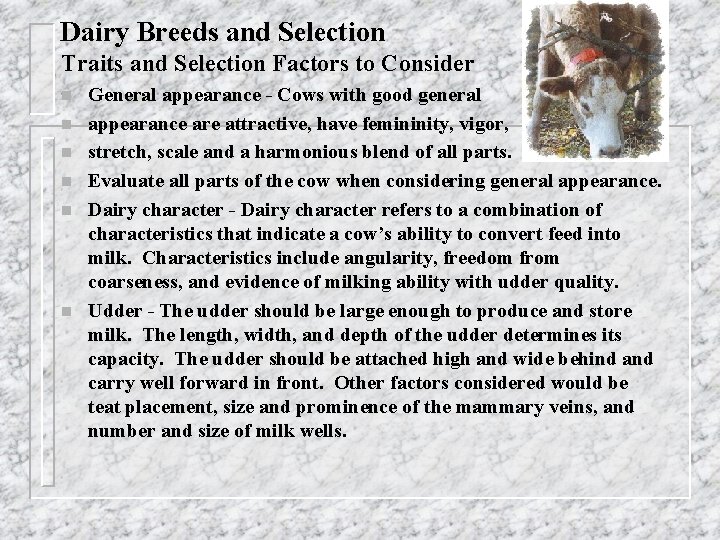 Dairy Breeds and Selection Traits and Selection Factors to Consider n n n General