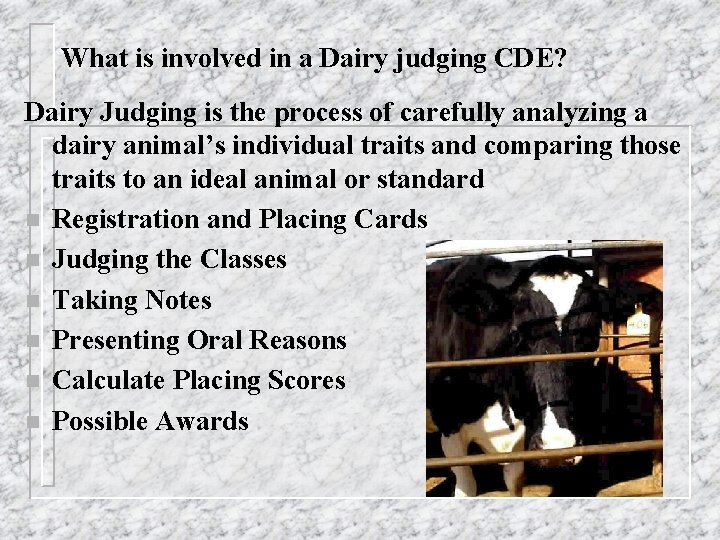 What is involved in a Dairy judging CDE? Dairy Judging is the process of