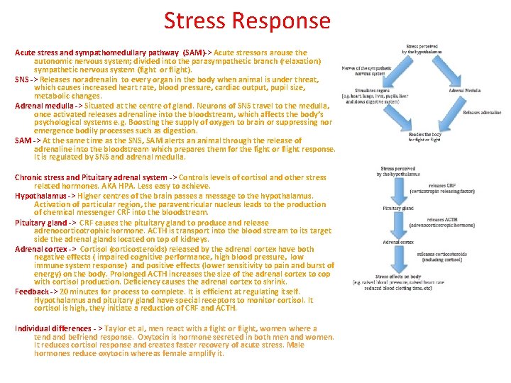 Stress Response Acute stress and sympathomedullary pathway (SAM)-> Acute stressors arouse the autonomic nervous