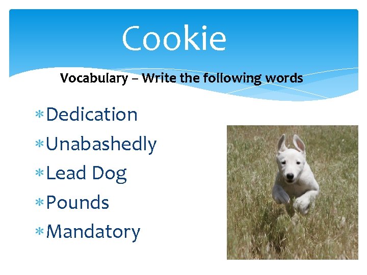 Cookie Vocabulary – Write the following words Dedication Unabashedly Lead Dog Pounds Mandatory 