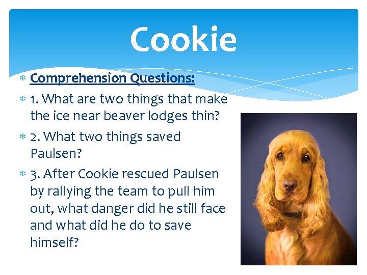 Cookie Comprehension Questions: 1. What are two things that make the ice near beaver