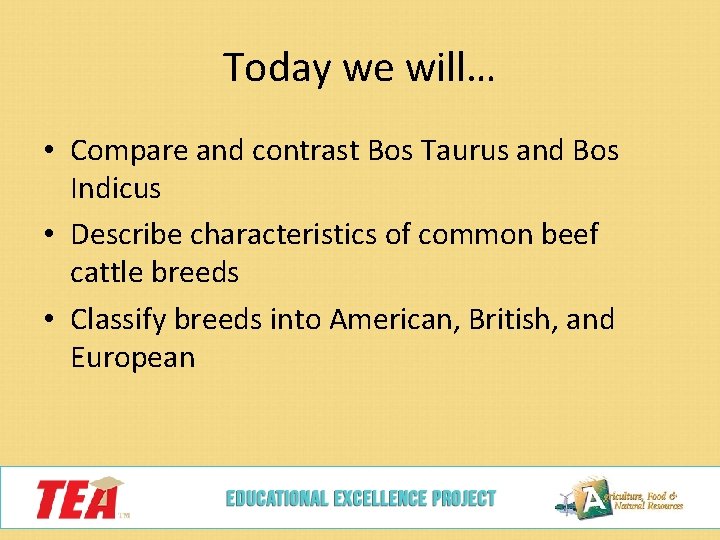 Today we will… • Compare and contrast Bos Taurus and Bos Indicus • Describe