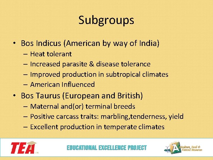 Subgroups • Bos Indicus (American by way of India) – Heat tolerant – Increased