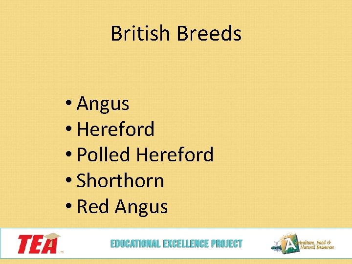 British Breeds • Angus • Hereford • Polled Hereford • Shorthorn • Red Angus