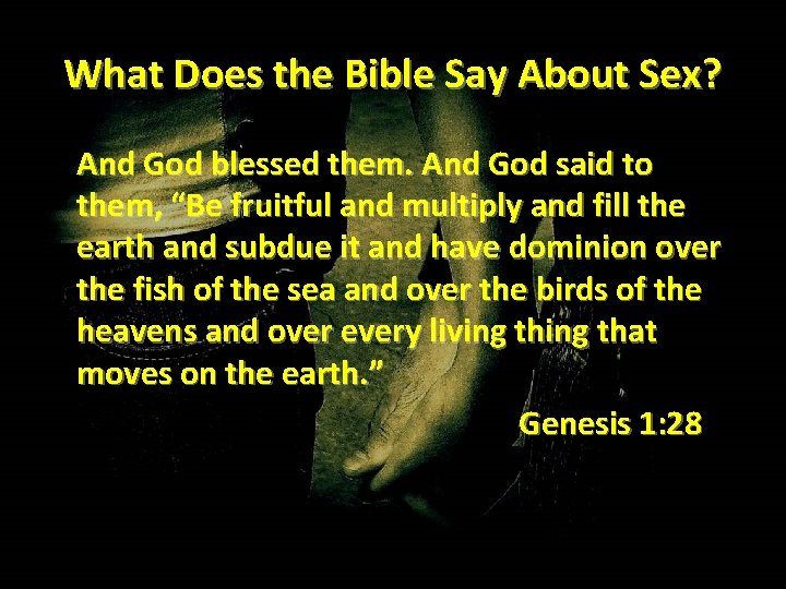What Does the Bible Say About Sex? And God blessed them. And God said