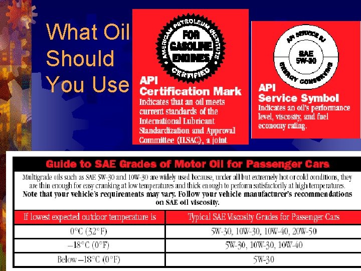 What Oil Should You Use 