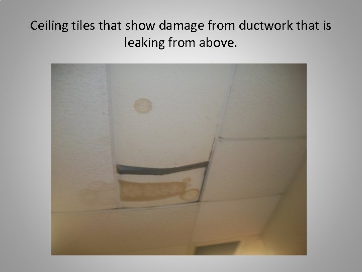 Ceiling tiles that show damage from ductwork that is leaking from above. 