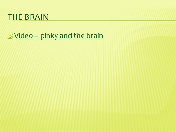 THE BRAIN Video – pinky and the brain 