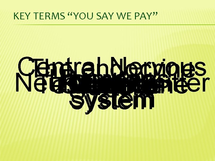 KEY TERMS “YOU SAY WE PAY” Central Nervous The endocrine Hormones Neuron Neurotransmitter Lobe