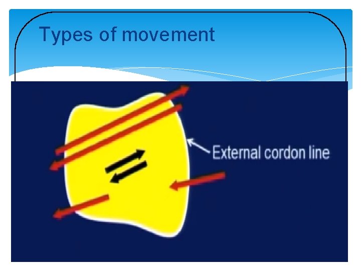 Types of movement 
