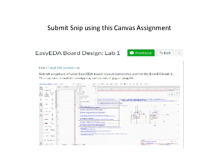 Submit Snip using this Canvas Assignment 