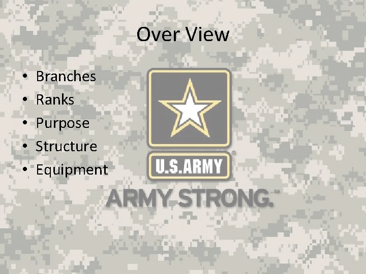 Over View • • • Branches Ranks Purpose Structure Equipment 