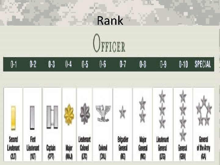 Rank 