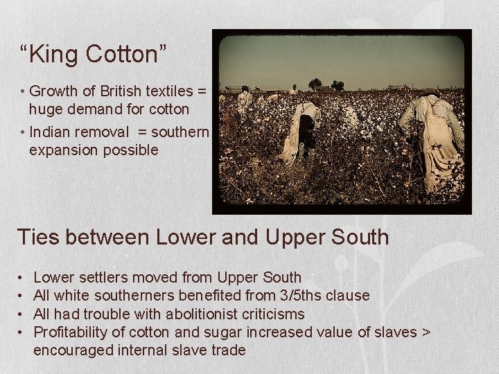 Slavery and the Antebellum South You should be