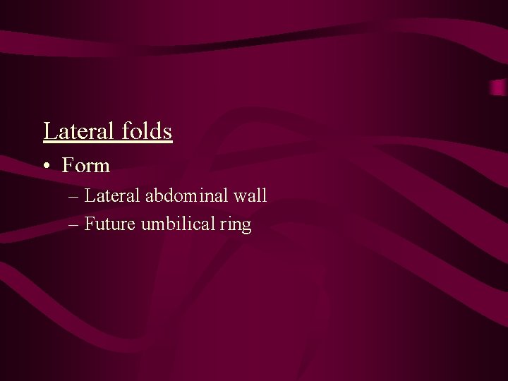 Lateral folds • Form – Lateral abdominal wall – Future umbilical ring 