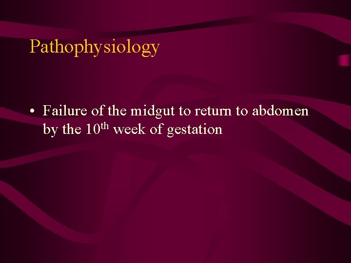 Pathophysiology • Failure of the midgut to return to abdomen by the 10 th