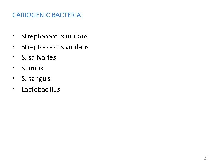 CARIOGENIC BACTERIA: Streptococcus mutans Streptococcus viridans S. salivaries S. mitis S. sanguis Lactobacillus 24