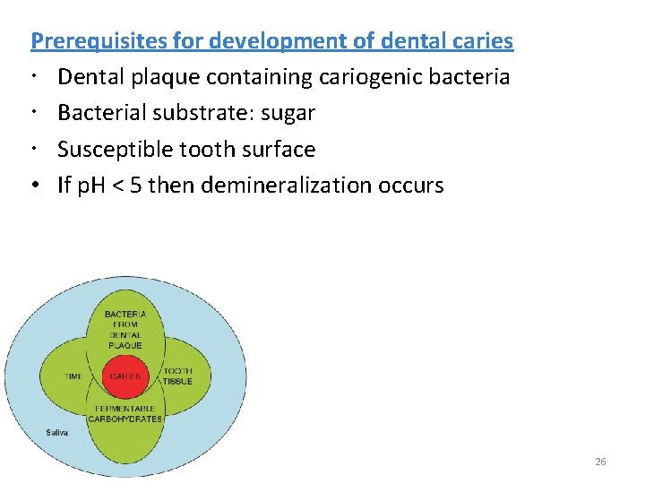 Prerequisites for development of dental caries Dental plaque containing cariogenic bacteria Bacterial substrate: sugar