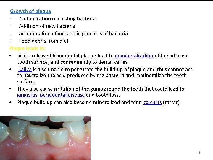 Growth of plaque Multiplication of existing bacteria Addition of new bacteria Accumulation of metabolic