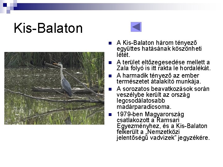 Kis-Balaton n n A Kis-Balaton három tényező együttes hatásának köszönheti létét. A terület eltőzegesedése