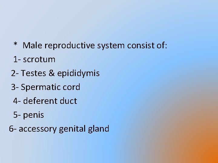 * Male reproductive system consist of: 1 - scrotum 2 - Testes & epididymis