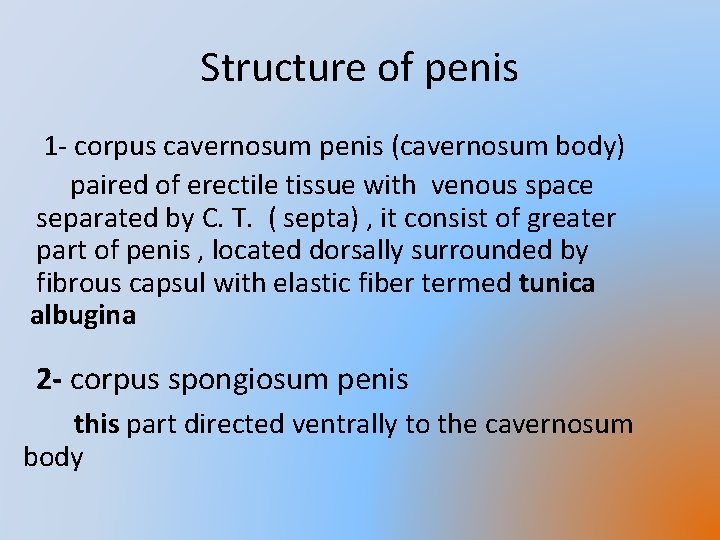 Structure of penis 1 - corpus cavernosum penis (cavernosum body) paired of erectile tissue