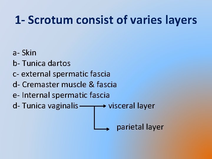 1 - Scrotum consist of varies layers a- Skin b- Tunica dartos c- external