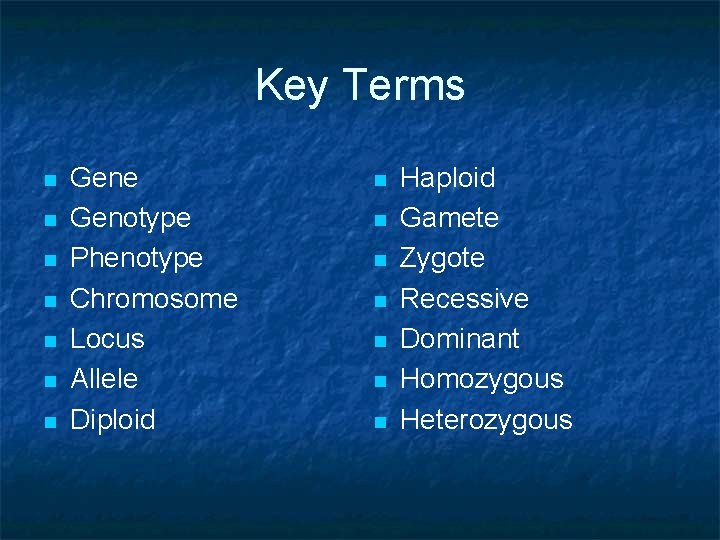 Key Terms n n n n Gene Genotype Phenotype Chromosome Locus Allele Diploid n