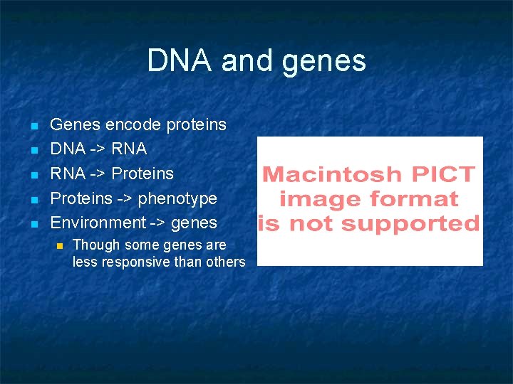 DNA and genes n n n Genes encode proteins DNA -> RNA -> Proteins