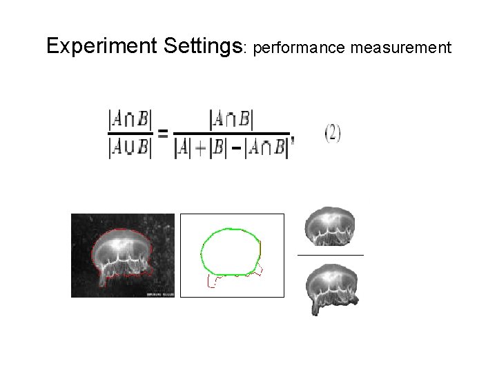 Experiment Settings: performance measurement 