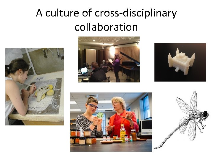 A culture of cross-disciplinary collaboration 