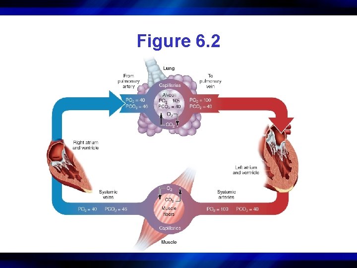 Figure 6. 2 