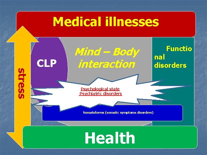 Medical illnesses stress CLP Mind – Body interaction Psychological state Psychiatric disorders Somatoforms (somatic