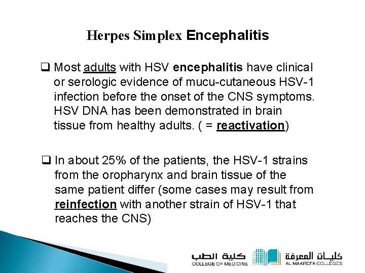 Herpes Simplex Encephalitis q Most adults with HSV encephalitis have clinical or serologic evidence