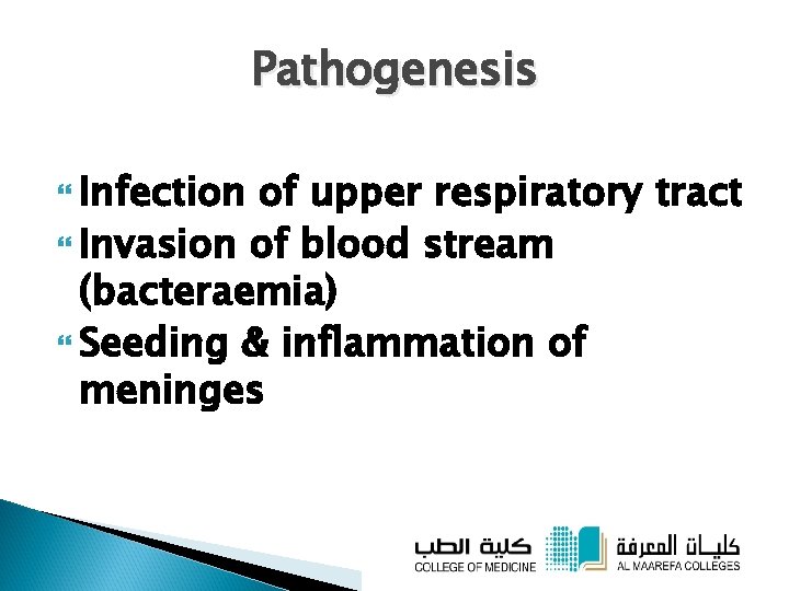 Pathogenesis Infection of upper respiratory tract Invasion of blood stream (bacteraemia) Seeding & inflammation