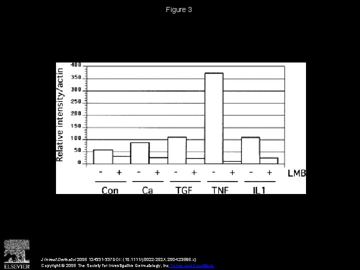 Figure 3 J Invest Dermatol 2005 124331 -337 DOI: (10. 1111/j. 0022 -202 X.