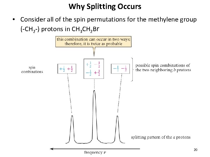 Why Splitting Occurs • Consider all of the spin permutations for the methylene group